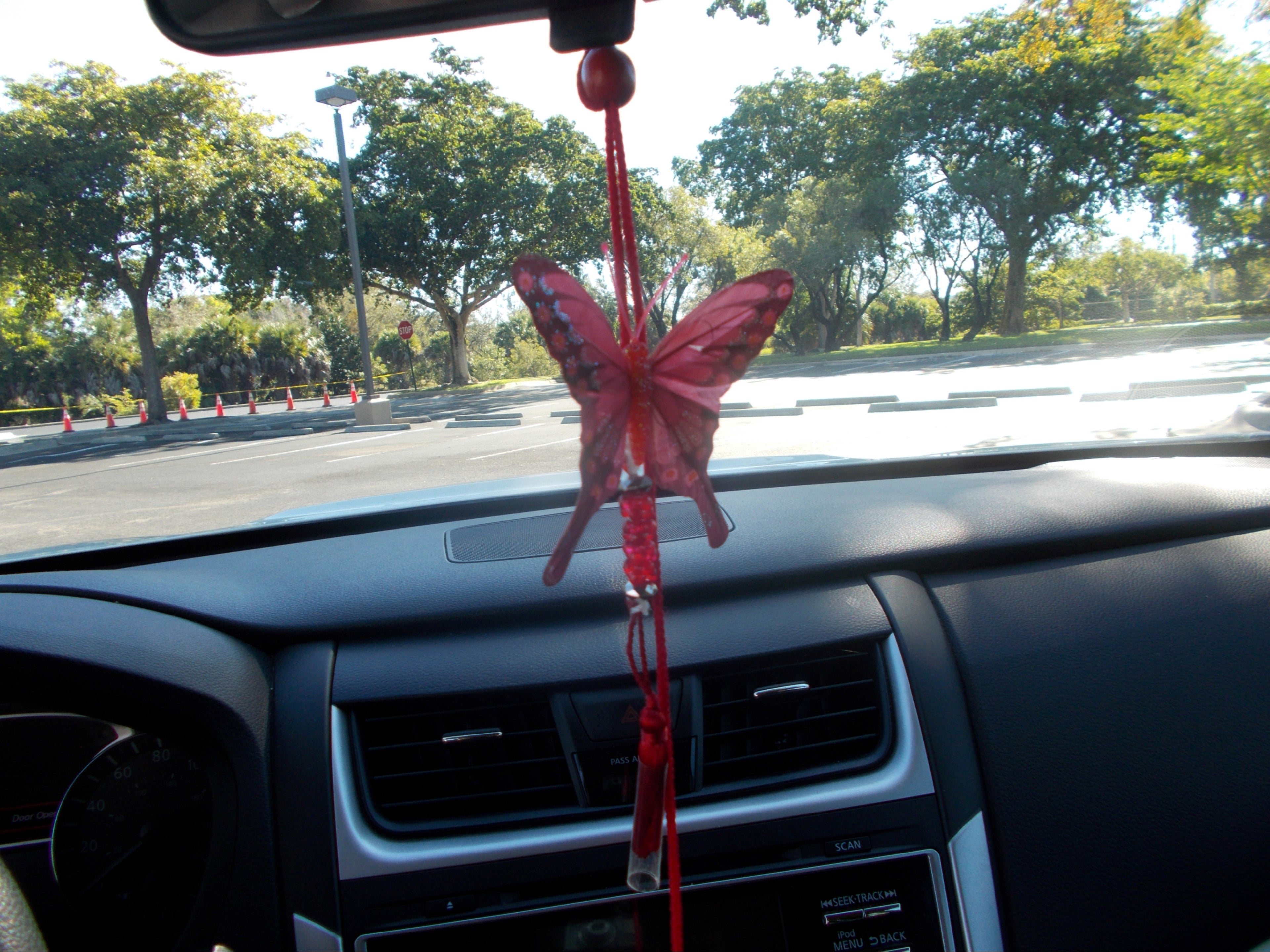 Beautiful Swallowtail Butterfly with Hanger, Tassel with Beads