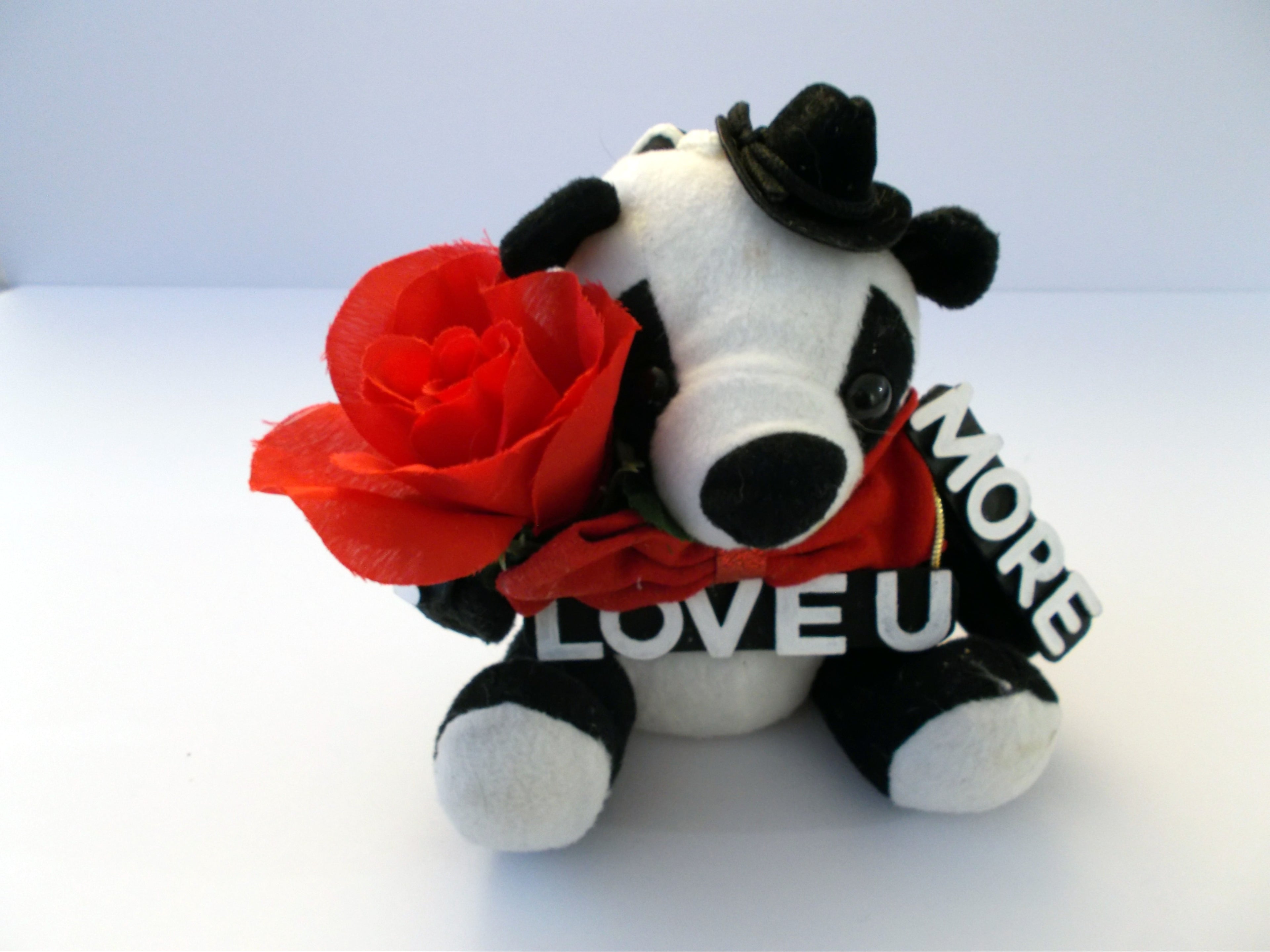 "Love You  More" Male Panda Bear Key Chain/Charm with Lanyard