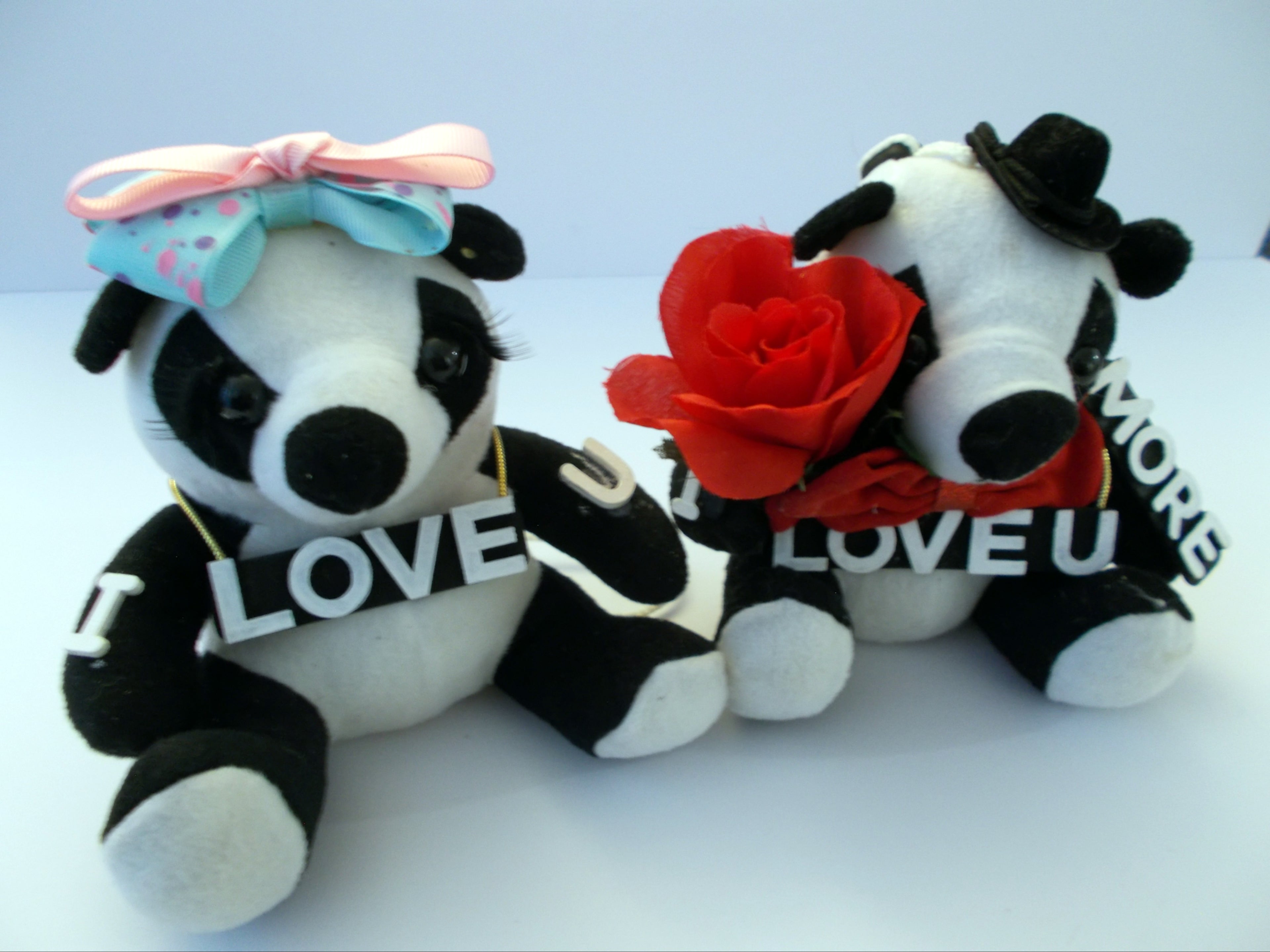Panda Bear Lovers T-Shirt Illustration