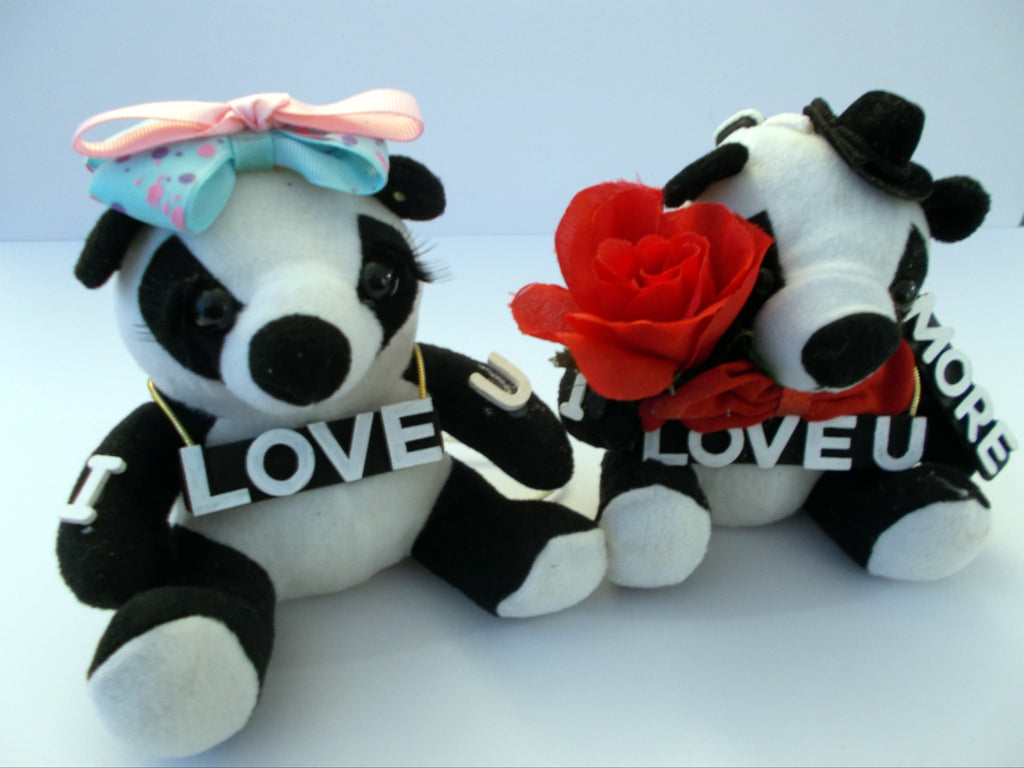 Panda Bear Lovers T-Shirt Illustration