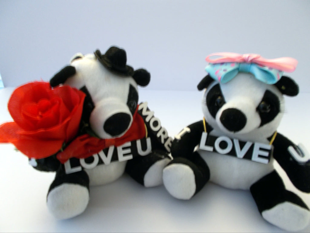 Panda Bear Lovers T-Shirt Illustration