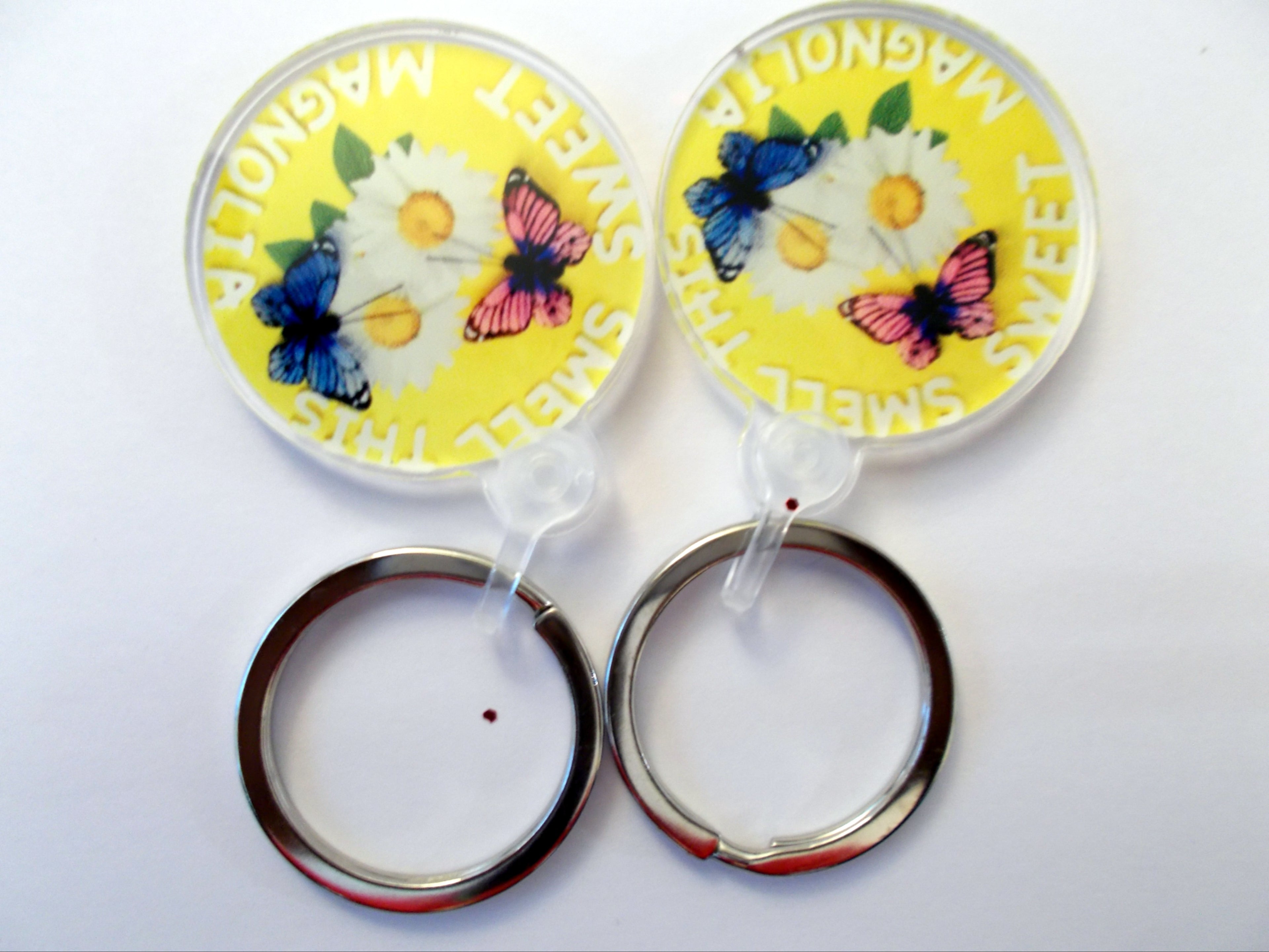 Butterfly Charm Key Chain with Lanyard