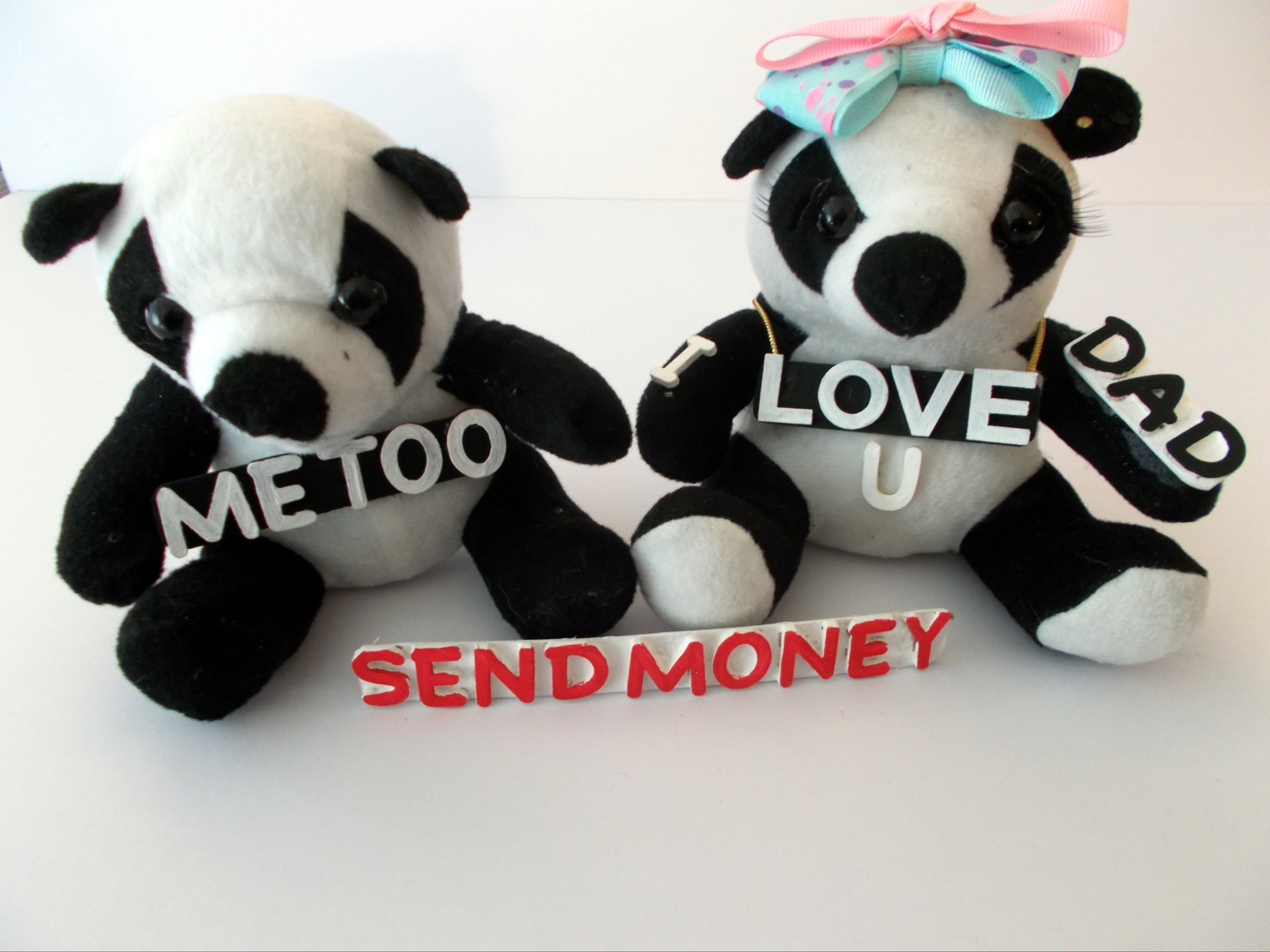 Panda Bears illustration of Dad Send Money T-Shirt