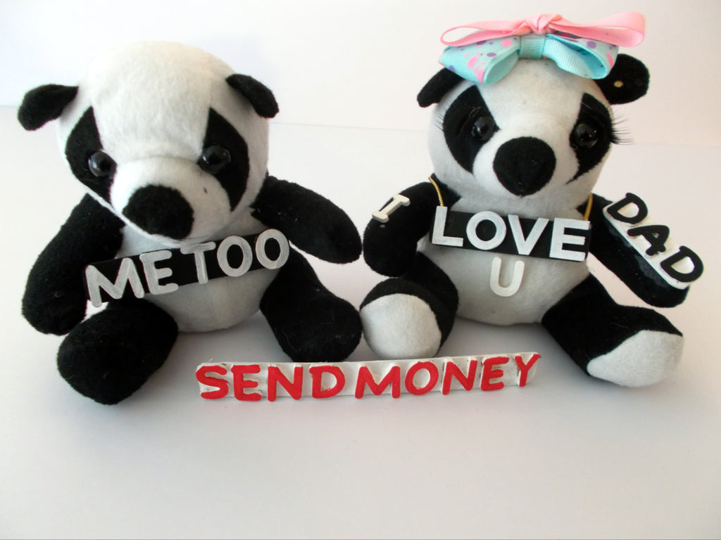 Panda Bears illustration of Dad Send Money T-Shirt