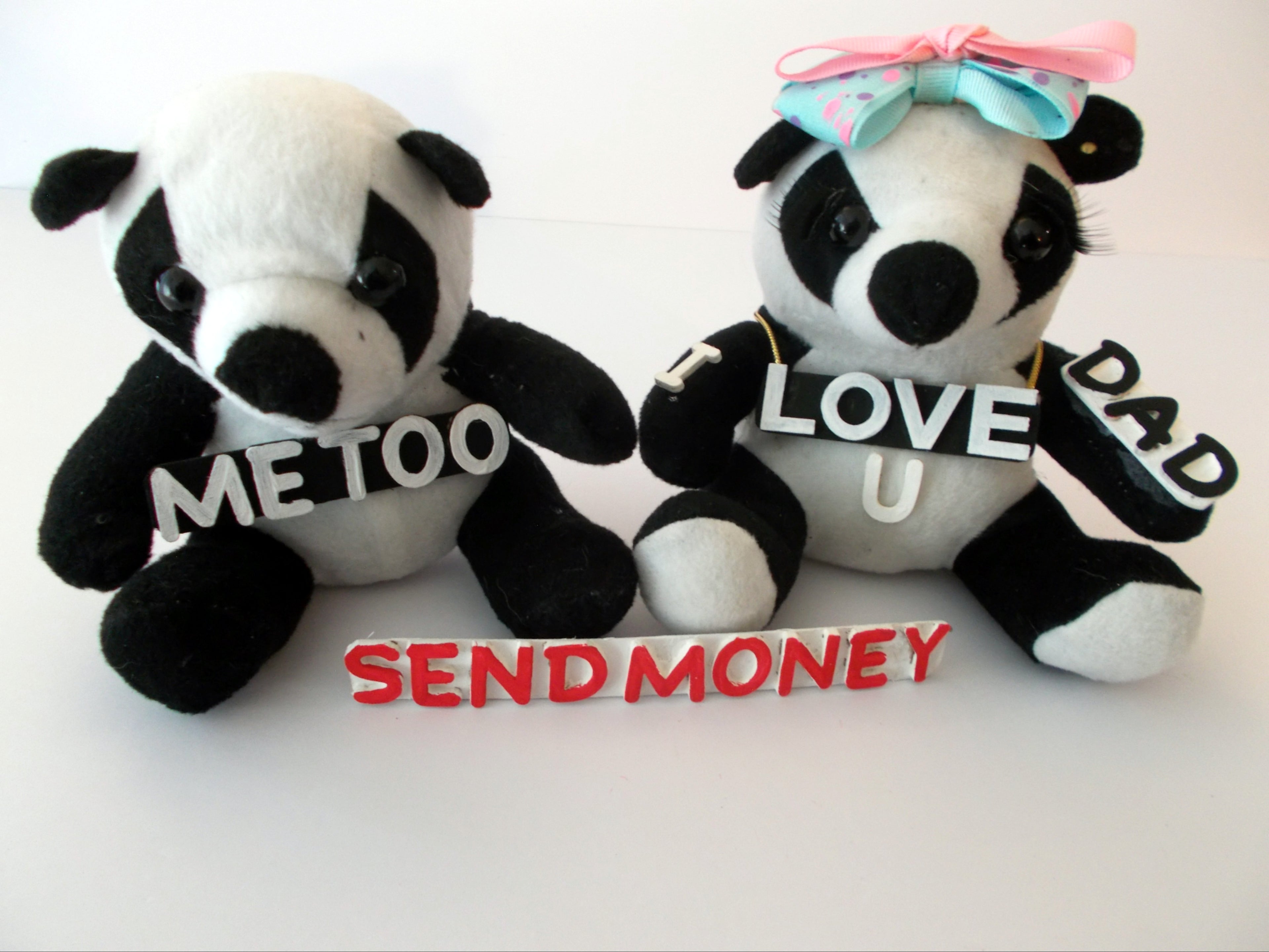 Panda Bears illustration of Dad Send Money T-Shirt