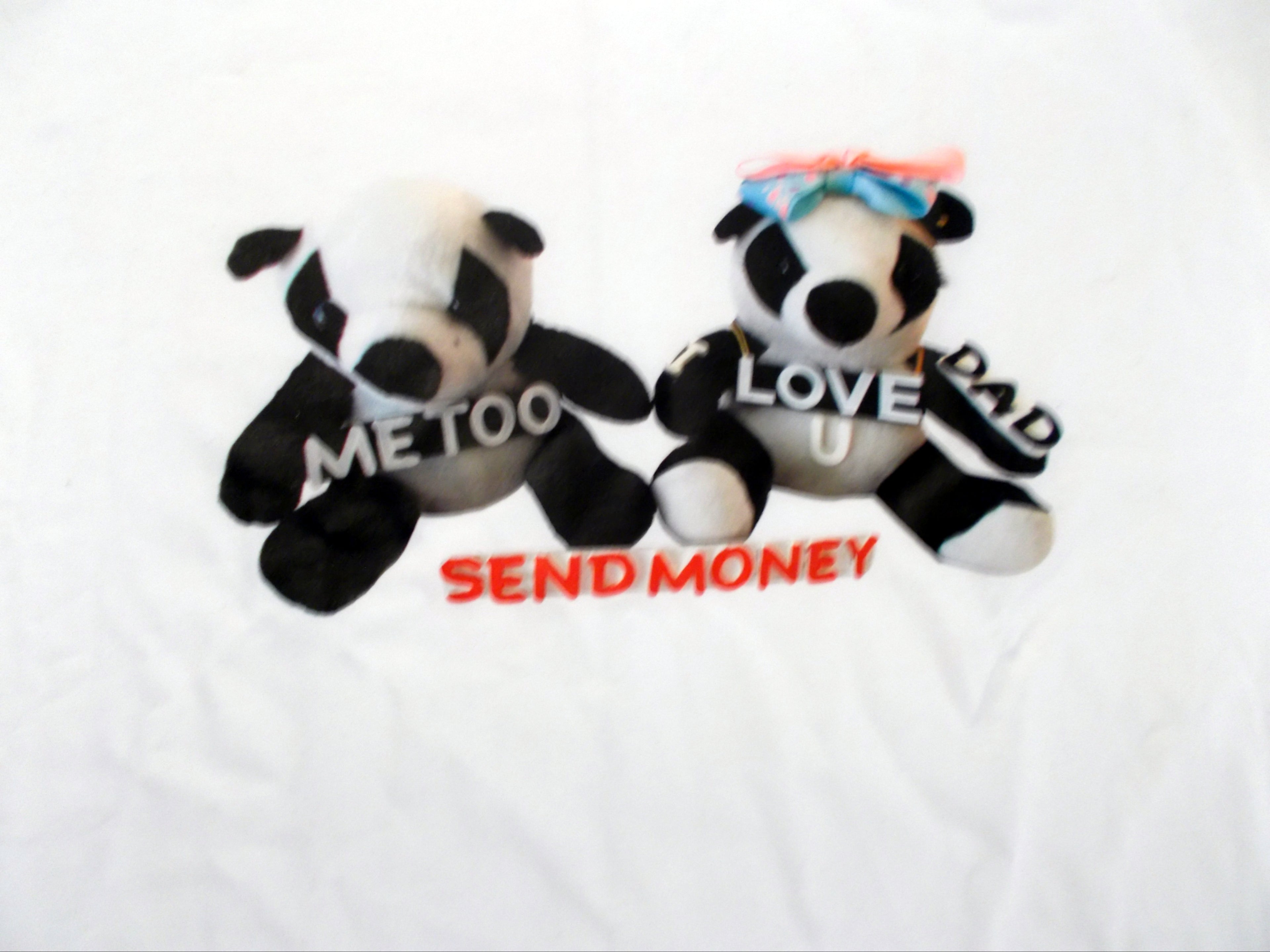 Panda Bears illustration of Dad Send Money T-Shirt