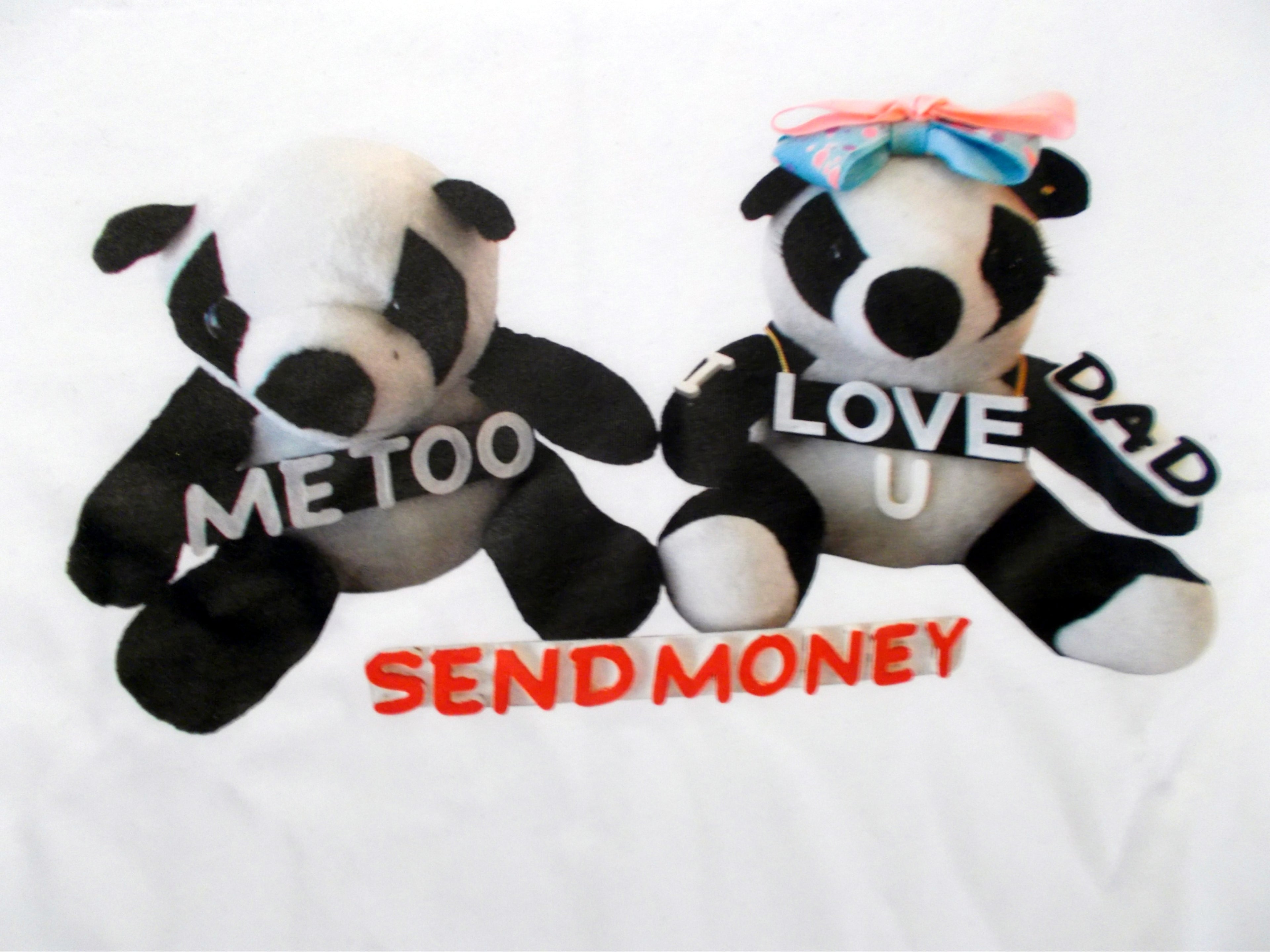 Panda Bears illustration of Dad Send Money T-Shirt