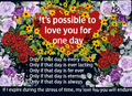 Digital Love Affair